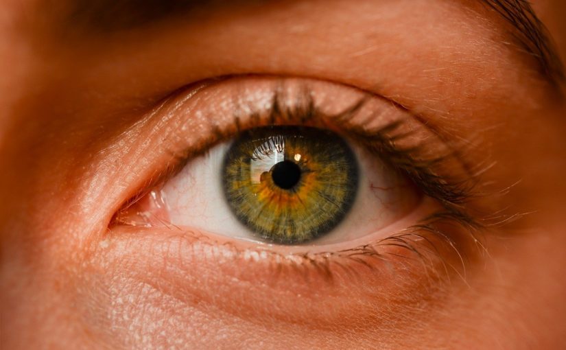 Oczy to ekstrawagancki organ. To dokładnie dzięki nim doświadczamy.